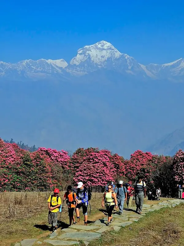Trekking in Nepal