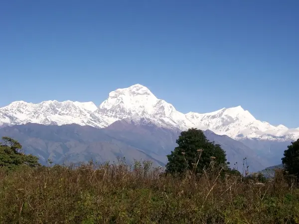 Poonhill