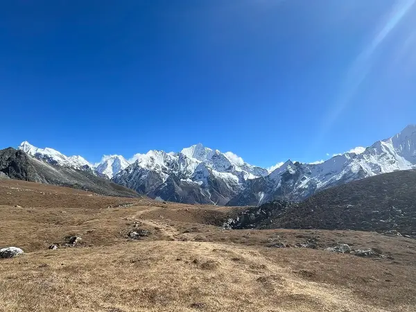 View