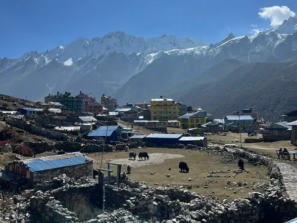 Village
