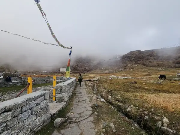 Way To Langtang Valley