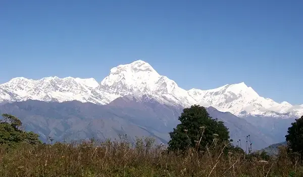 Poon Hill